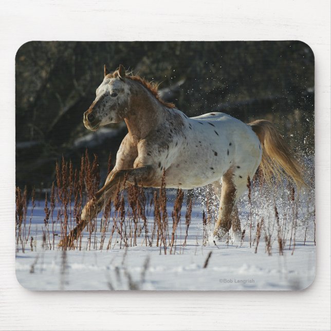 Appaloosa-Pferd, das in den Schnee läuft Mousepad (Vorne)