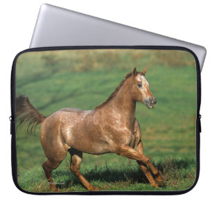 Appaloosa-Pferd, das in grasartiges Feld läuft Laptopschutzhülle