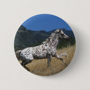 Appaloosa-Pferd, das oben Berg laufen lässt Button