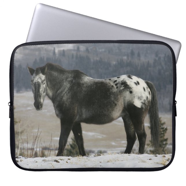 Appaloosa-Pferd im Schnee Laptopschutzhülle (Vorderseite)