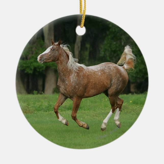 Appaloosa-Pferd Keramik Ornament (Vorne)