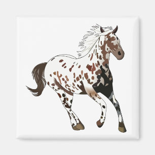 Appaloosa Pferd Magnet