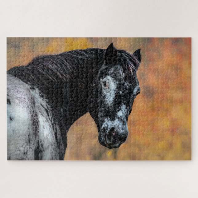 Appaloosa Pferd mit Herbstfarben Puzzle (Horizontal)