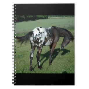 Appaloosa Pferd Notizblock