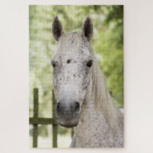 Appaloosa Pferd Puzzle