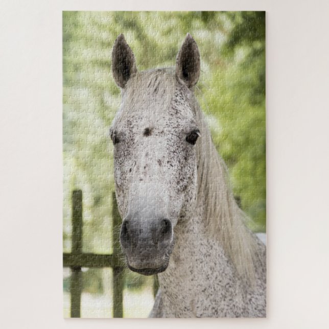 Appaloosa Pferd Puzzle (Vertikal)