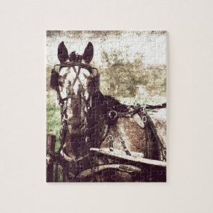 Appaloosa-Pferd Puzzle