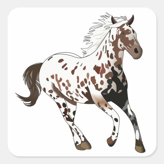 Appaloosa Pferd Quadratischer Aufkleber (Vorderseite)