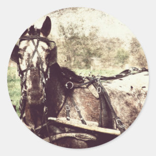 Appaloosa-Pferd Runder Aufkleber