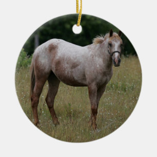 Appaloosa-Pferd stehend im Gras Keramikornament