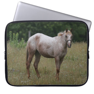 Appaloosa-Pferd stehend im Gras Laptopschutzhülle
