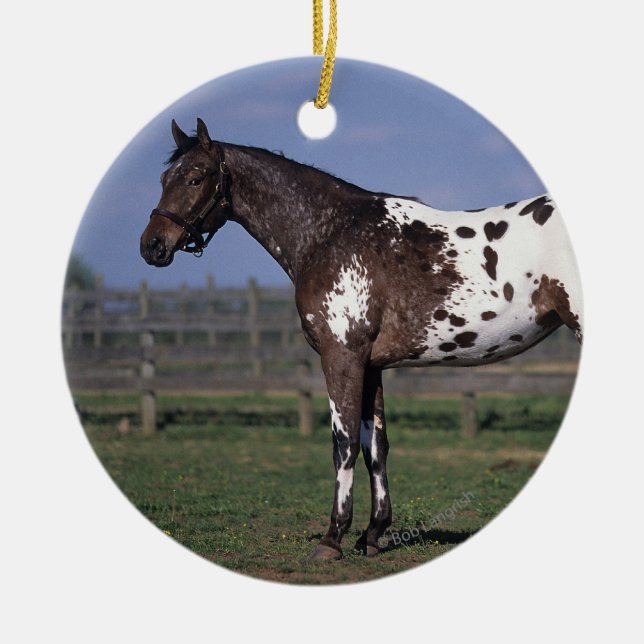 Appaloosa-Pferd stehend Keramikornament (Vorne)