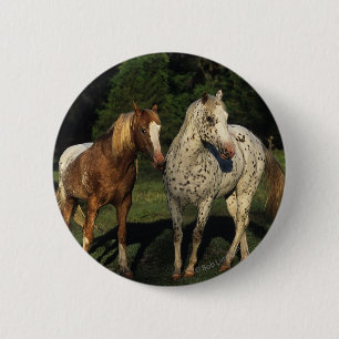Appaloosa-Pferde Button