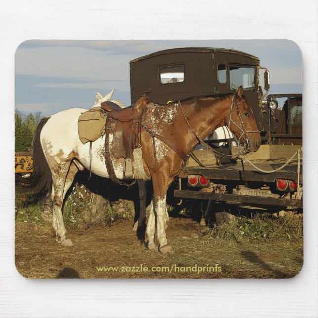 Appaloosa Pferde Equine Western Design Mousepad (Vorne)