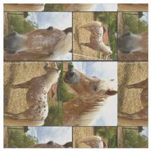 Appaloosa Pferde FotoCollage, Stoff