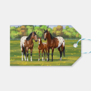 Appaloosa-Pferde in der Braunbucht im Sommer Geschenkanhänger