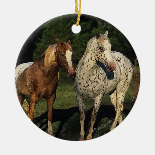Appaloosa-Pferde Keramikornament (Vorne)