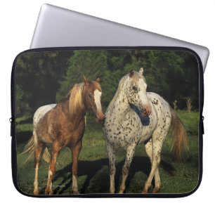 Appaloosa-Pferde Laptopschutzhülle