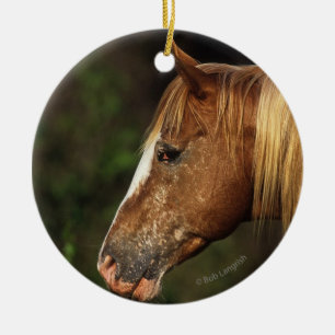 Appaloosa-PferdeHeadshot 1 Keramik Ornament