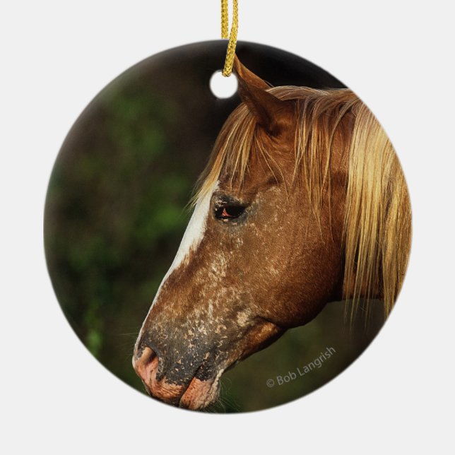 Appaloosa-PferdeHeadshot 1 Keramik Ornament (Vorne)