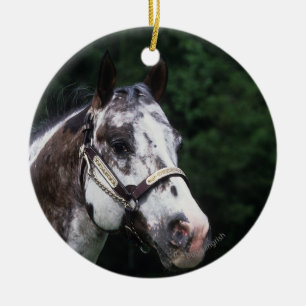 Appaloosa-PferdeHeadshot 2 Keramikornament