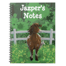 Appaloosa Pony
