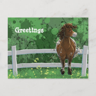 Appaloosa Pony Postkarte