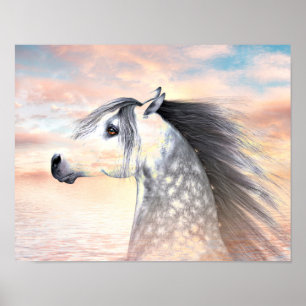 Appaloosa Poster