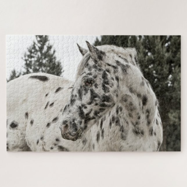 Appaloosa Puzzle (Horizontal)