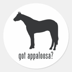 Appaloosa Runder Aufkleber