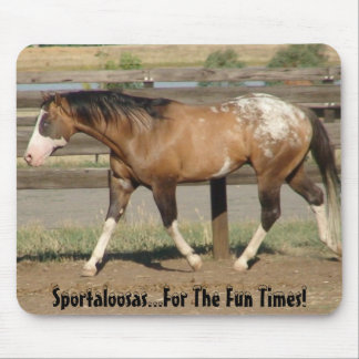 Appaloosa sportaloosa Spaßzeiten Mousepad