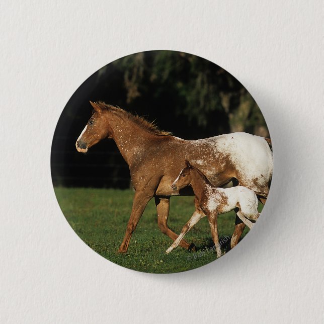 Appaloosa-Stute und Fohlen Button (Vorderseite)