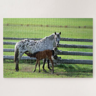 Appaloosa-Stute und Fohlen Puzzle