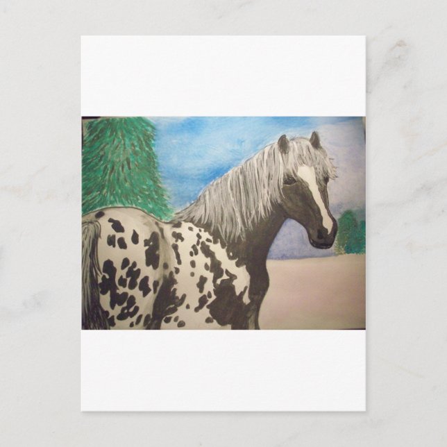 Appaloosa Winter Postkarte (Vorderseite)