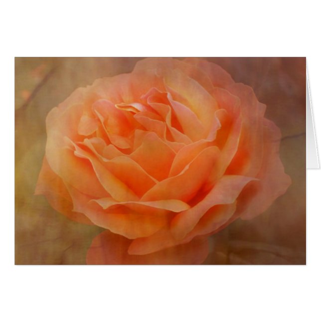 Appelle Rose mit Textur (Vorderseite (Horizontal))