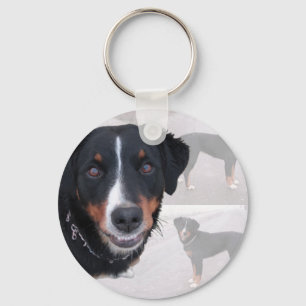 Appenzeller Sennenhund Schlüsselanhänger