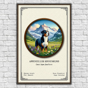 Appenzeller Sennenhund Zoologie-Serie Poster