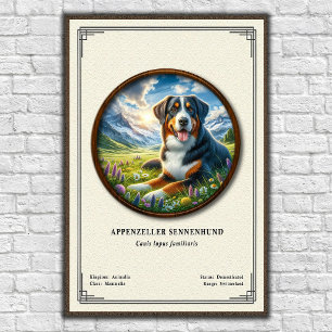 Appenzeller Sennenhund Zoologie-Serie Poster