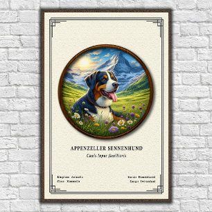 Appenzeller Sennenhund Zoologie-Serie Poster