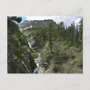 Appistoki Falls and Peak at Glacier National Park Postkarte