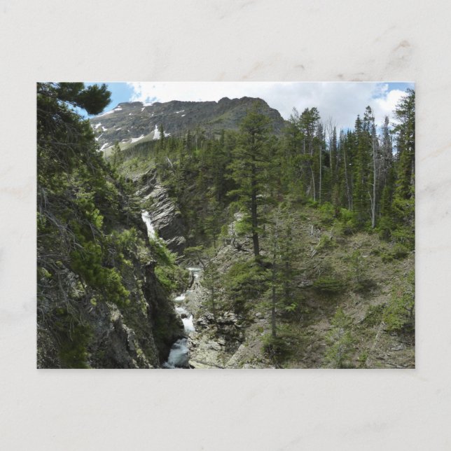 Appistoki Falls and Peak at Glacier National Park Postkarte (Vorderseite)