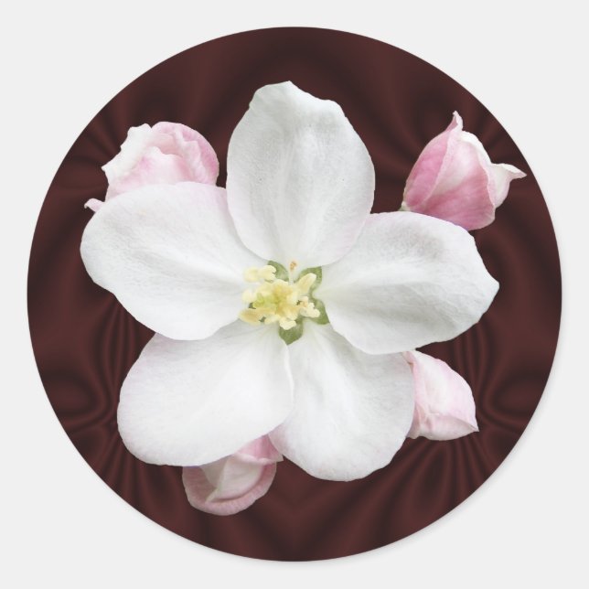 Apple Blossom ~ Aufkleber (Vorderseite)