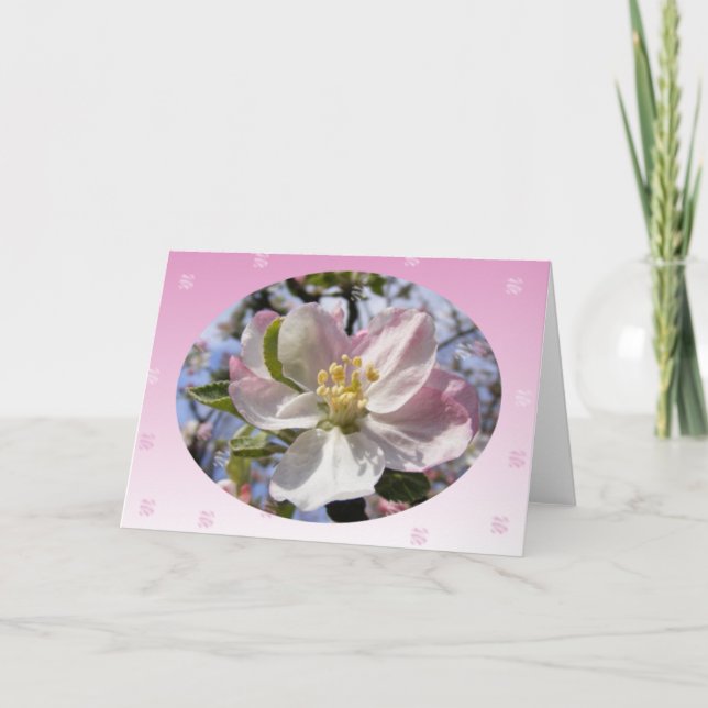 Apple Blossom Blume Karte (Vorderseite)