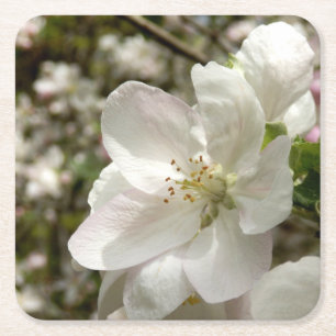 Apple Blossom Coaster Rechteckiger Pappuntersetzer