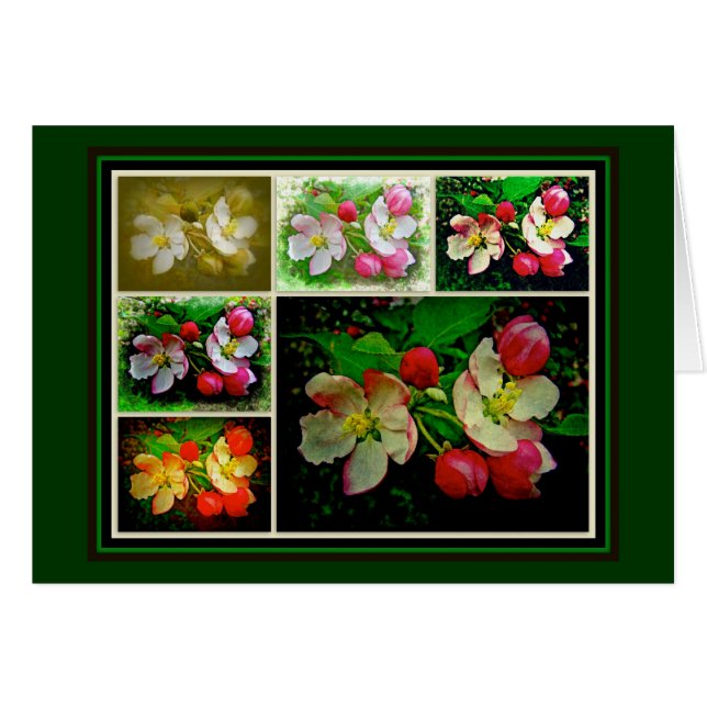Apple Blossom Collage - Verbessertes digitales Fot (Vorderseite (Horizontal))