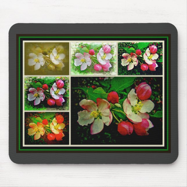 Apple Blossom Collage - Verbessertes digitales Fot Mousepad (Vorne)