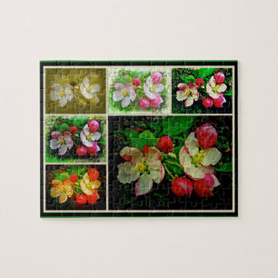 Apple Blossom Collage - Verbessertes digitales Fot Puzzle