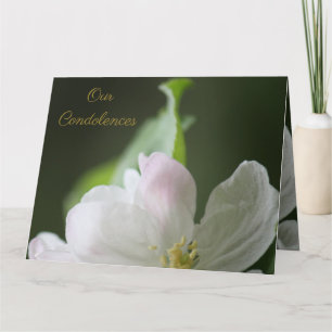 Apple Blossom Condolence Card Karte