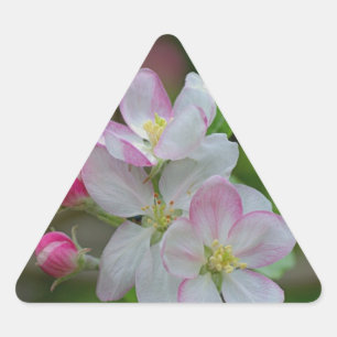 Apple Blossom Dreieckiger Aufkleber