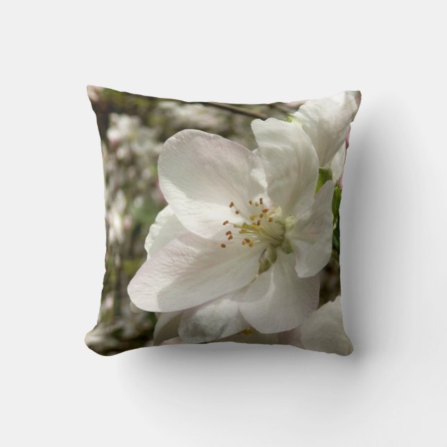 Apple Blossom Kissen (Vorderseite)
